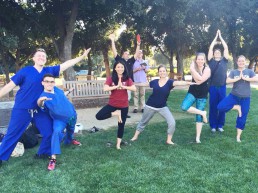 Group poses for a photo while performing yoga poses